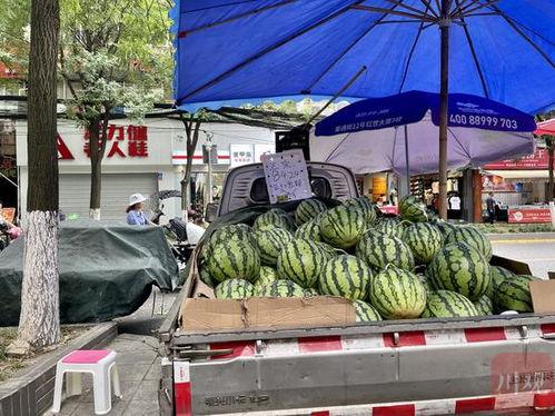 成都青羊吃瓜事件视频,一场引发热议的街头冲突瞬间