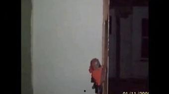 诡异爆辣吃瓜事件视频,一场视觉与味觉的双重冲击