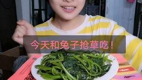 广东阿姨吃瓜视频,一场接地气的美食盛宴