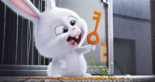 小兔吃瓜爆笑视频大全,欢乐无限视频大全