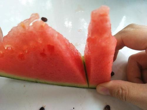 吃瓜需要去籽吗视频,轻松享受美味无渣体验