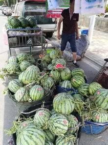 徽县网红吃瓜事件视频