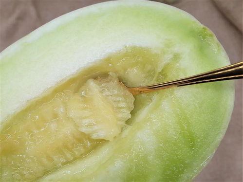 烂掉的玉菇瓜可以吃吗视频,揭秘变质瓜果的真相