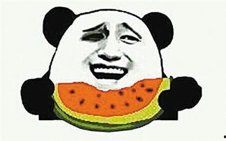 吃瓜群众相处视频大全,视频大全带你领略人间百态