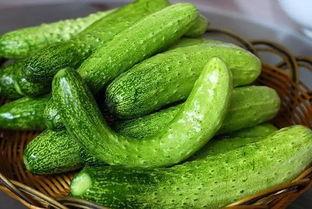 吃葫芦瓜要煮熟嘛视频,煮熟还是生食，揭秘最佳食用方法