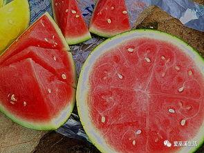 巫溪吃瓜视频,揭秘当地特色美食背后的故事