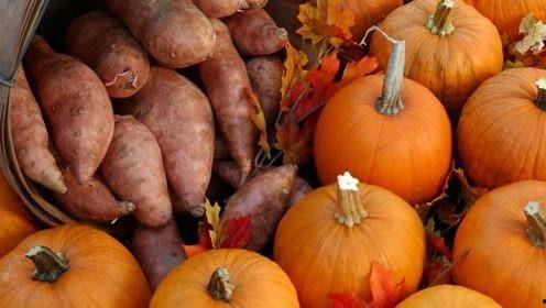 中国人吃酸瓜视频在线观看,在线观看热潮席卷全网