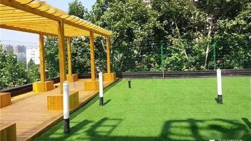 郑州学校长椅吃瓜视频,网友热议校园生活新现象