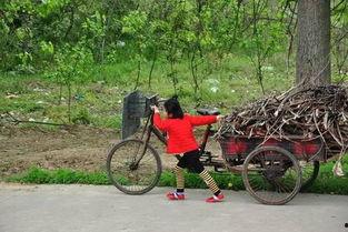 郑州学校长椅吃瓜视频,网友热议校园生活新现象